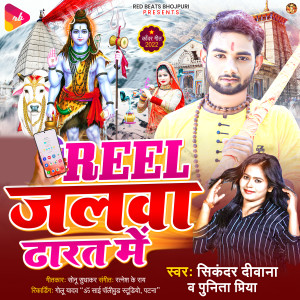 Listen to Reel Jalawa Dharat Me song with lyrics from Sikandar Deewana