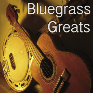 ดาวน์โหลดและฟังเพลง The Devil Went Down To Georgia พร้อมเนื้อเพลงจาก Richard Durrant
