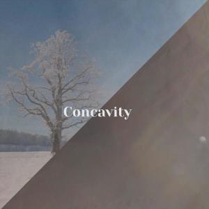 Various Artists的專輯Concavity