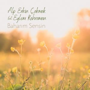 Album Baharım Sensin from 