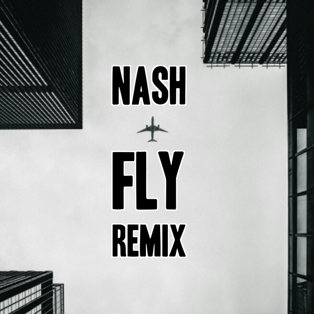 Fly