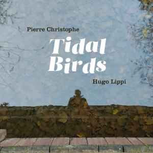 Pierre Christophe的專輯Tidal Birds