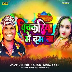 Listen to Pichkariye Me Dam Ba song with lyrics from Anku Akela