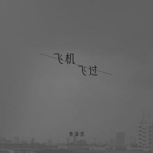 Album 飞机飞过 from 秦海清