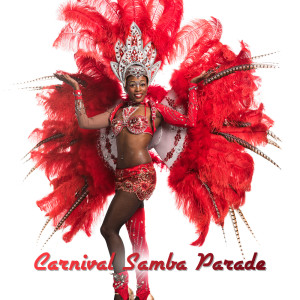 收聽World Hill Latino Band的Carnival, Music and Samba歌詞歌曲