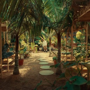 Album SHY from KOTA