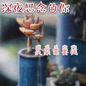 Dengarkan 思念是一种病 (完整版) lagu dari 边阳兄弟组合 dengan lirik