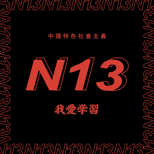 N13