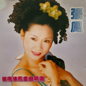 ดาวน์โหลดและฟังเพลง 永远记得你 พร้อมเนื้อเพลงจาก 张凤