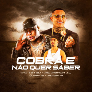 收聽MC Menor ZL的Cobra e Não quer Saber (Explicit)歌詞歌曲