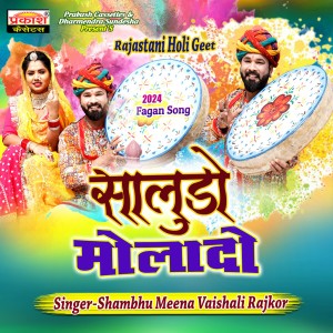 Listen to Saloda Molado song with lyrics from Sambhu Meena