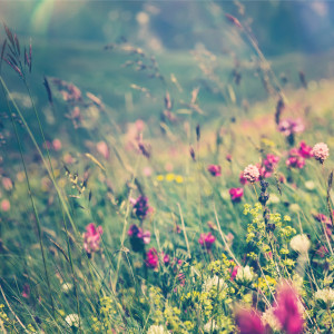 Listen to Sky (Ambient) song with lyrics from Yoga Flow