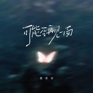 Album 可能否再见一面 from 聂思诗