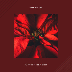 Listen to Dopamine song with lyrics from Jupyter Hendrix