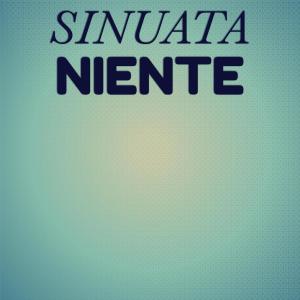 Various Artists的專輯Sinuata Niente