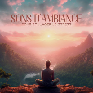 Album Sons d'ambiance pour soulager le stress (La paix de la nature pure, Piano, Rivière, Oiseaux) from Musique Coeur de la Nature