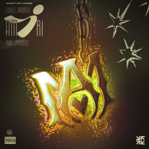 Listen to Amiri (Explicit) song with lyrics from Louiss