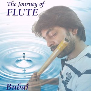 ดาวน์โหลดและฟังเพลง Pinning In Solitude (Instrumental) พร้อมเนื้อเพลงจาก Bubai Nandi