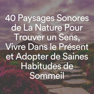 40 Paysages Sonores de La Nature Pour Trouver un Sens, Vivre Dans le Présent et Adopter de Saines Habitudes de Sommeil dari Multi-interprètes