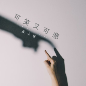 Album 可笑又可悲 oleh 皮小妹