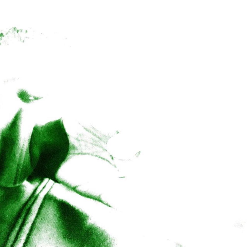 NEAR.