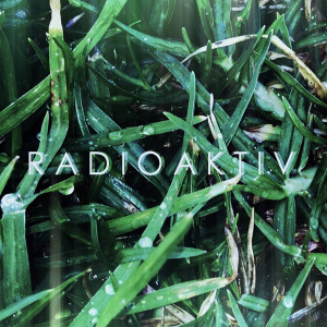 ดาวน์โหลดและฟังเพลง Du Du Durutu พร้อมเนื้อเพลงจาก Radioaktiv