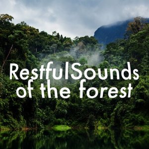 ดาวน์โหลดและฟังเพลง Garden Rill พร้อมเนื้อเพลงจาก ดารานักร้องหลายคน