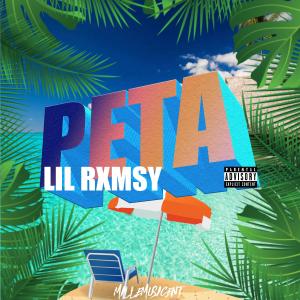 Album Peta (Explicit) from Lil Rxmsy