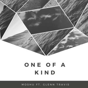 ดาวน์โหลดและฟังเพลง One of a Kind พร้อมเนื้อเพลงจาก Glenn Travis