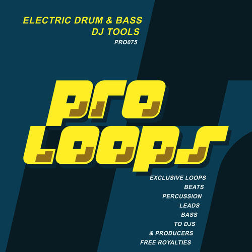 Electric Drum & Bass Lead 175