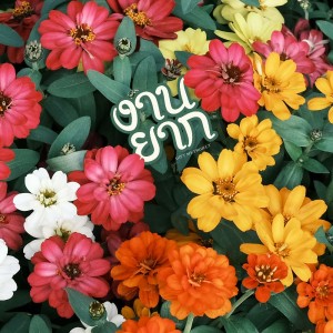Album งานยาก (Hard) from Gift My Project