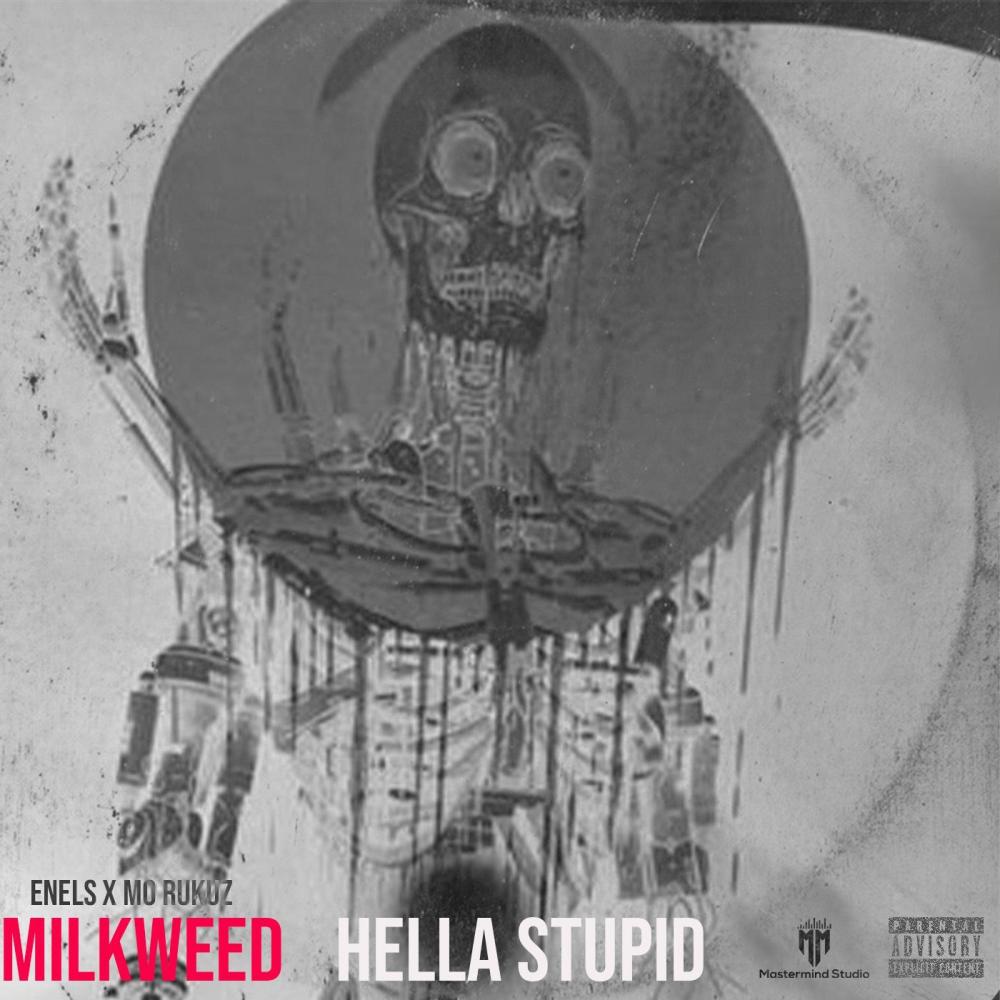 Hella Stupid(feat. Mo Rukuz & Enels)(Special Version) (Explicit)