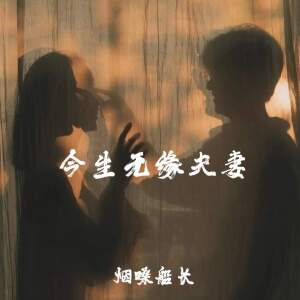 Album 今生无缘夫妻 from 烟嗓船长