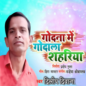 Listen to Godna Me Godala Shahriya song with lyrics from Dilip Diwana