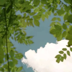 收聽Daisy Bubles的As one wishes (完整版)歌詞歌曲