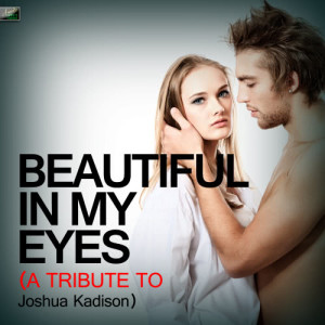 ดาวน์โหลดและฟังเพลง Beautiful in My Eyes (A Tribute to Joshua Kadison) พร้อมเนื้อเพลงจาก Ameritz Tribute Standards