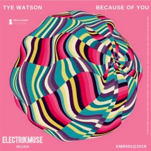 Dengarkan lagu Because of You nyanyian Tye Watson dengan lirik