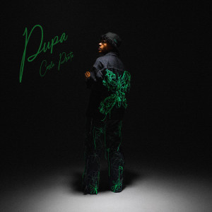 ดาวน์โหลดและฟังเพลง Low-key (Explicit) พร้อมเนื้อเพลงจาก Carla Prata