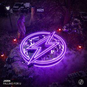 Album Falling For U from 