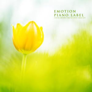 Various Artists的專輯A Natural Emotional Piano That Creates A Warm Heart (Nature Ver.)