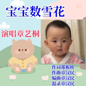 Album 数雪花 from 