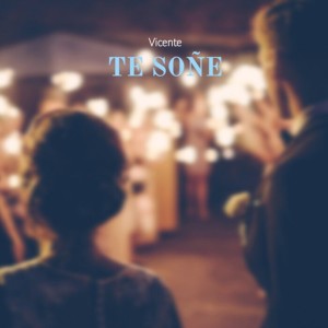 收听Vicente的Te Soñé歌词歌曲