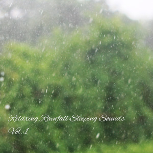 Sleep Tech的專輯Relaxing Rainfall Sleeping Sounds Vol. 1
