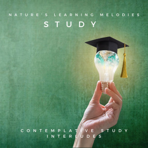 Piano Study Serenity: Nature's Learning Melodies