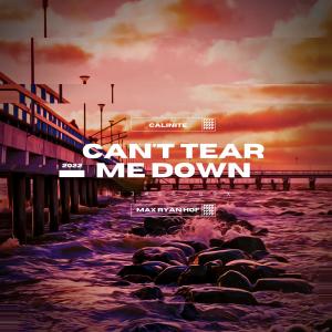 ดาวน์โหลดและฟังเพลง Can't Tear Me Down พร้อมเนื้อเพลงจาก CALINITE