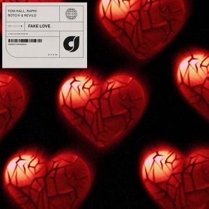 Album Fake Love from 