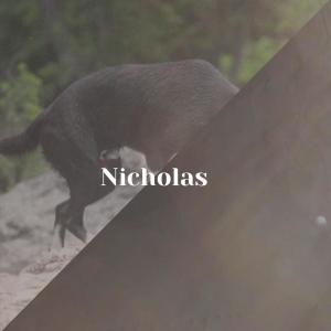 Listen to By Catnap song with lyrics from Renso