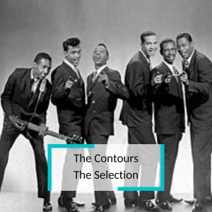 The Contours - The Selection