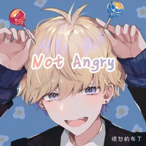收聽憤怒的布丁的Not Angry (cover: Chris James) (完整版)歌詞歌曲
