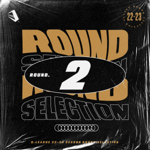 Album D.LEAGUE 22 -23 SEASON - ROUND SELECTION - ROUND.2 from 日本群星